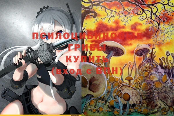 Альфа ПВП Сосновка